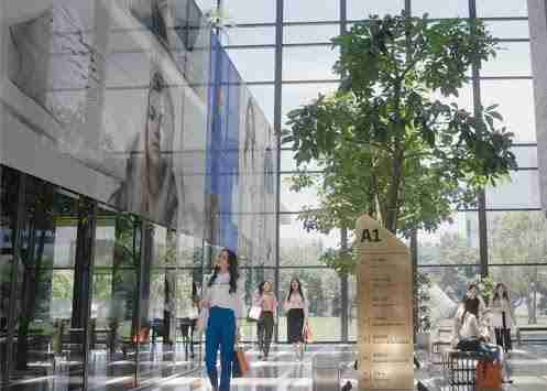 z6尊龙光电简介