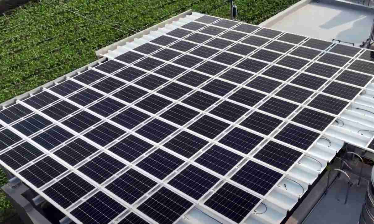 z6尊龙SunSteel光电浪板升级双玻结构，，，以提升机械负载强度及气候耐候度，，，，可广泛运用于多元场域